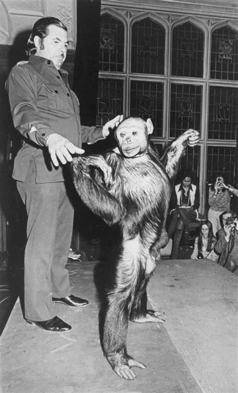 人間とチンパンジーの交配により産まれた混種が過去に存在？ 研究者から「非道徳的」だと批判され消される ニコニコニュース