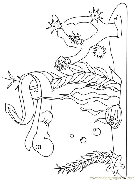 Ocean Scenes Coloring Pages Coloring Home