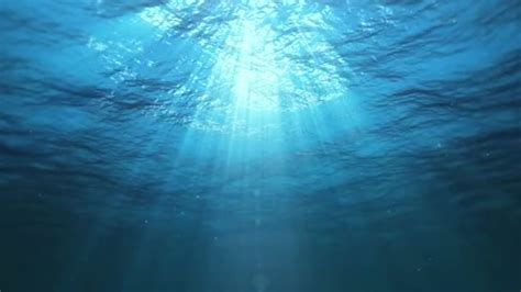 Underwater Sun Rays Ocean Loop Stock Video Footage By ©eyeidea 216332876