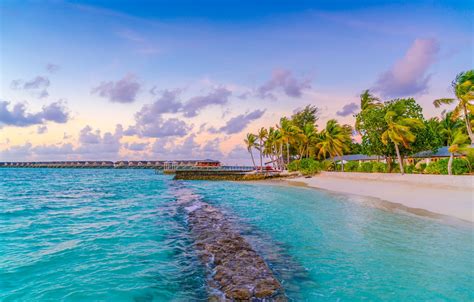 Wallpaper Sand Sea Beach The Sun Palm Trees Shore