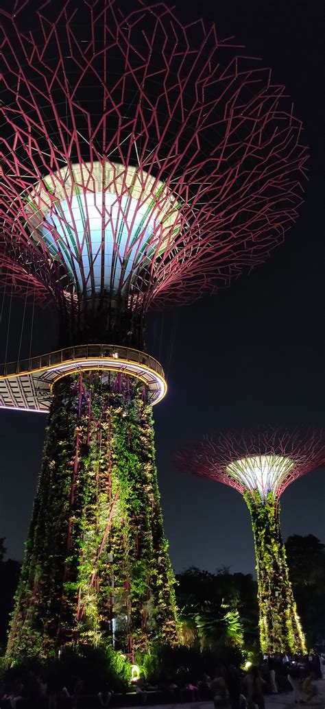 Gardens By The Bay Super Trees Grove And Skyway Singapore Visions