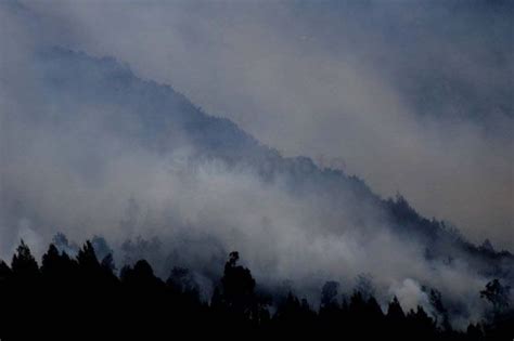 182 Titik Di Wilayah Kalimantan Barat Rawan Kebakaran Hutan