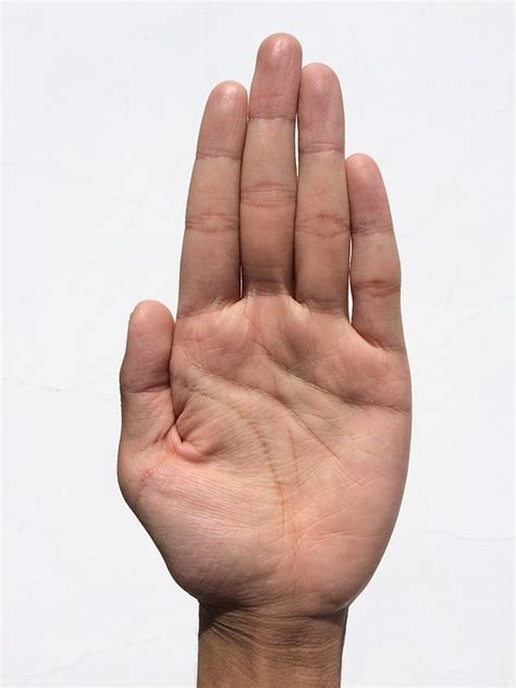 Palm Hand Finger · Free Photo On Pixabay