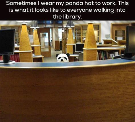 Best Photos Of The Week Funny Pictures Library Memes Library Humor