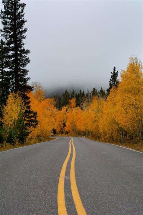 Road Leading To Autumn Forest And Mountains Covered With Fog Stock