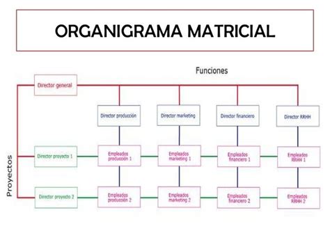 Ejemplo De Organigrama Matricial Organigrama Materiales Didacticos Didactico