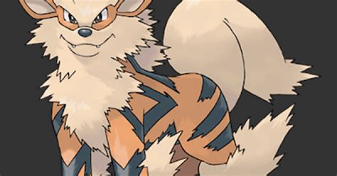Pokemon Lets Go Arcanine Stats Moves Evolution And Locations