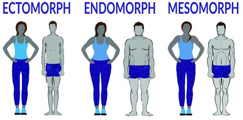 5 Best Exercises For Easy Weight Gain Endomorphs