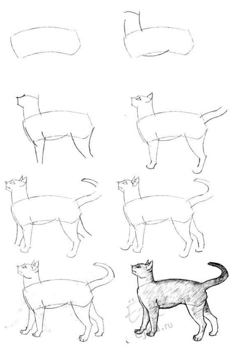 Boceto Del Gato Drawing Lessons Drawing Techniques Animal Sketches