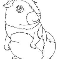 Beste meerschweinchen ausmalbilder von konabeun zum ausdrucken ausmalbilder meerschweinchen. Desenho de Coelhinho na toca para colorir - Tudodesenhos