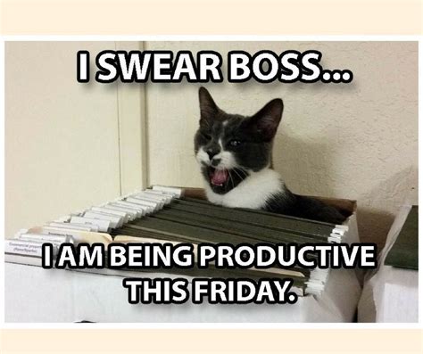 I Swear Boss I Am Being Productive This Friday Funnyfriday Friday Productive Boss