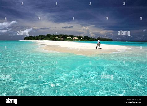 Maldives Archipelago Ari Atoll Arrival On The Island Of Madivaru