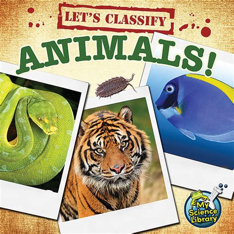 Let's Classify Animals - TCR419577 | Teacher Created Resources