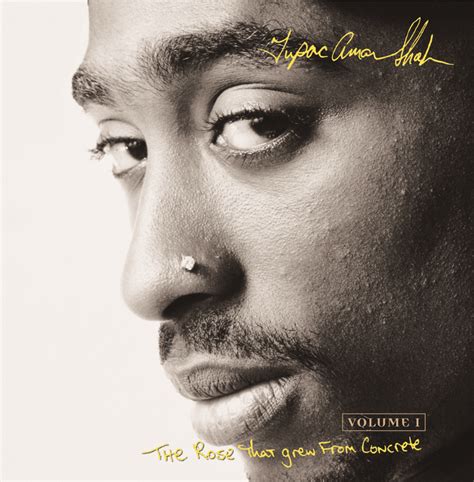 The Rose That Grew From Concrete by Tupac Shakur on MP3, WAV, FLAC
