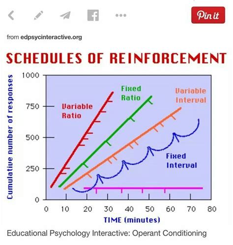 Schedules Of Reinforcement Visual Operant Conditioning Educational