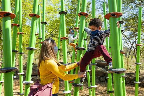 Houston Arboretums Playscape Awaits Houstonia Magazine