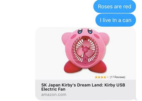 Fan Kirby