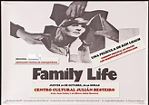 Proyección de la película 'Family life', de Ken Loach, en el CC Julián ...