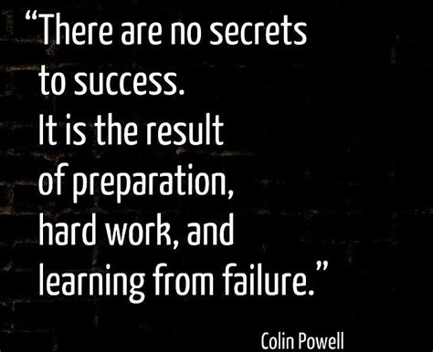 There Are No Secrets To Success Quotes Business Inspiration Pinterest Quotes And Business