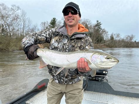 Manistee River Below Tippy Dam Fishing Report Guide Service