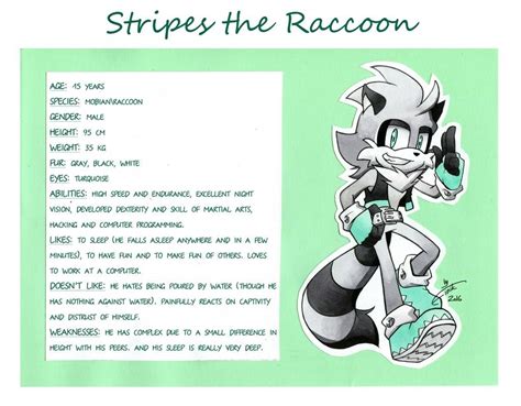 Oc Stripes The Raccoon By Finikart On Deviantart Stripes Sonic And
