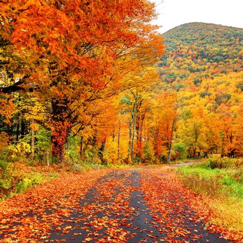 New England Fall Foliage 15 Best Places To Visit For Peak Fall Colors