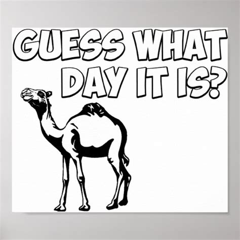 Guess What Day It Is Hump Day Camel Poster