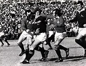 The 1974 Lions tour of South Africa - Wales Online