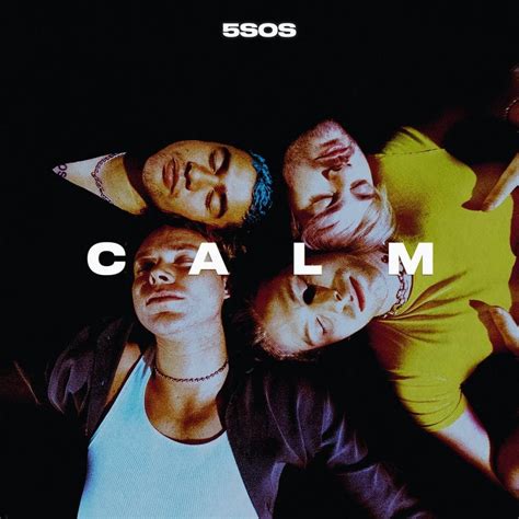 Calm By 5 Seconds Of Summer Best Albums Of 2020 Popsugar