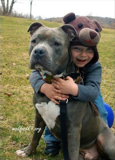 21 Adorable Photos That Show Pit Bulls Just Want To Give Love And Be