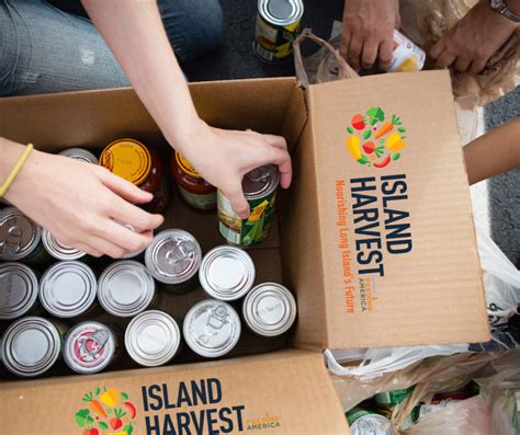 Island Harvest Nourishing Long Islands Future
