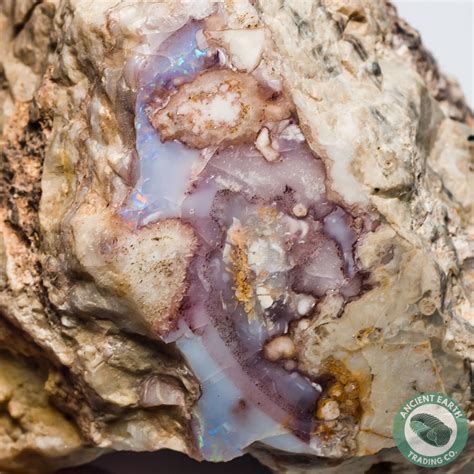 Purple Opal Thunderegg Idaho Opal Minerals Natural History