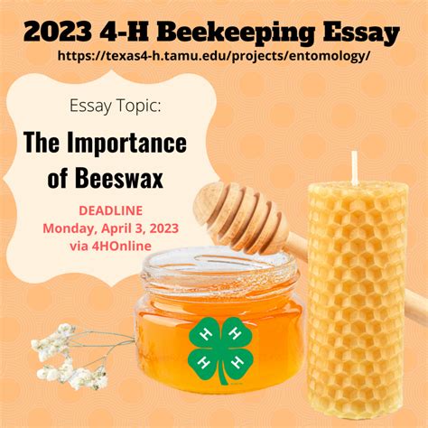 Beekeeping Essay Contest Bell County 4 H