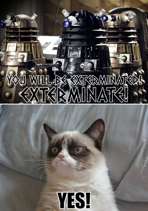 Tard Meets The Daleks Grumpy Cat Pinterest Grumpy