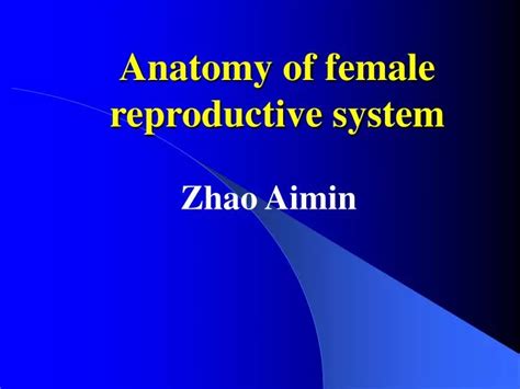 ppt anatomy of female reproductive system powerpoint presentation free download id 1194321