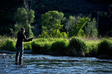 Fly Fishing 101 An Intro To Techniques