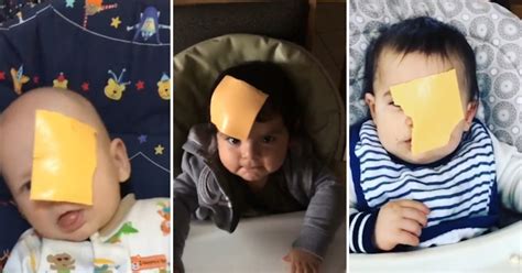 Parents Are Now ‘throwing Cheese At Babies For Internet Challenge