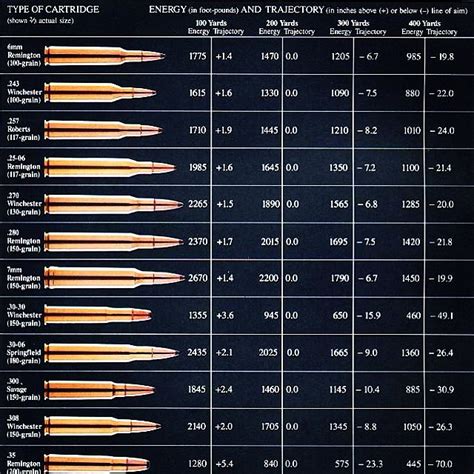 Comparison Of Popular Hunting Rifle Calibers This A Quick Flickr