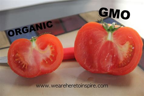 Gmo Vs Organic The Truth With Pictures Gmo Organic Organic