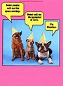 Funny Belated Birthday Quotes. QuotesGram