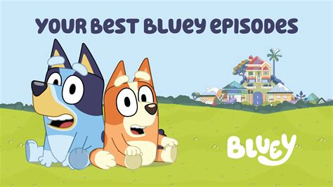 Bluey And Bingo Cartoon