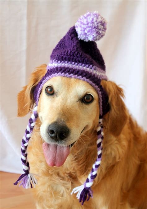 Crochet Dog Hat Pattern Crochet Beanie Hat Pattern For Large Etsy