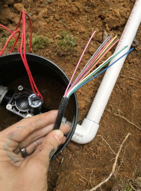 How To Install An Irrigation System Young House Love In 2020