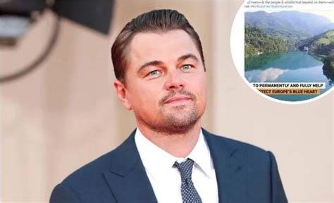 You can also upload and share your favorite leonardo dicaprio wallpapers. Leonardo DiCaprio u borbi protiv gradnje mini ...