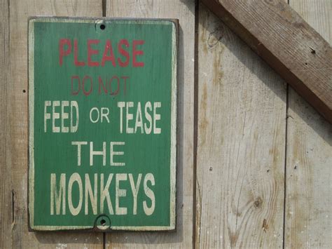 Wood Sign Hand Painted Do Not Feed Or Tease The Monkeys Sign Made From