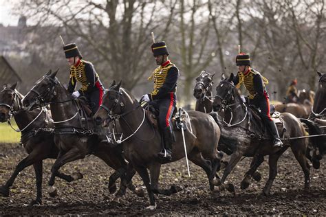 The Kings Troop Royal Horse Artillery Declared Fit For The King The