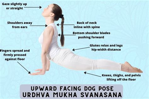 Upward Facing Dog Urdhva Mukha Svanasana Steps Benefits