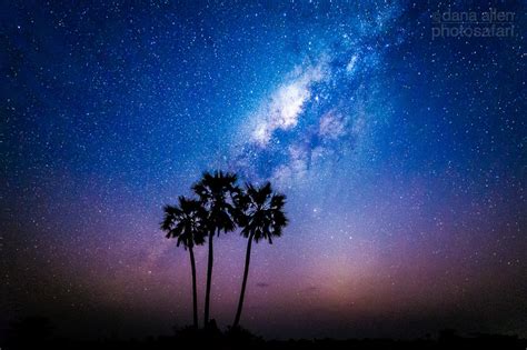 Discover the best of the city, first. Dana Allen PhotoSafari- Images of Africa: Blog