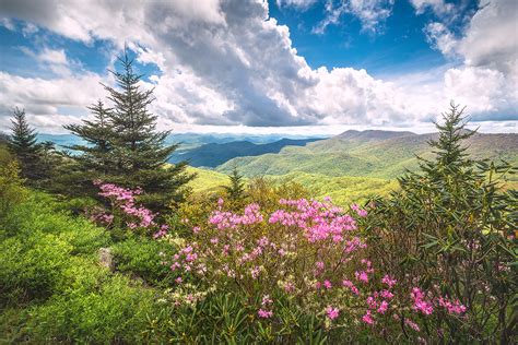 Blue Ridge Spring Spring In The Blue Ridge Mountains Is Th Flickr