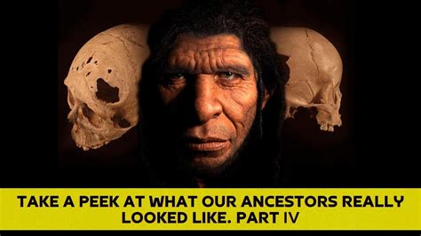 Take A Peek At What Our Ancestors Really Looked Like Part IV YouTube
